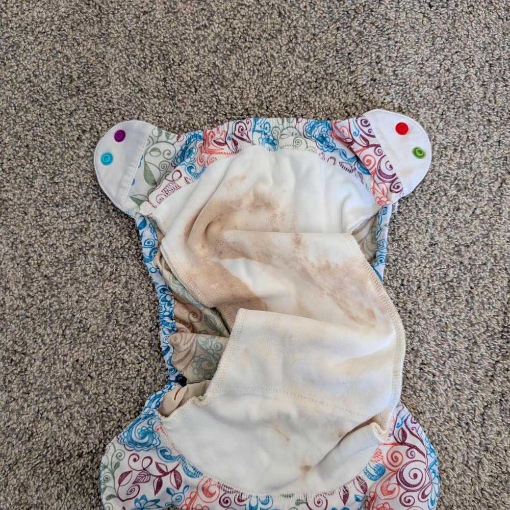 Workhorse Style Fitted Diapers +1 Cover - Picture 4 of 4